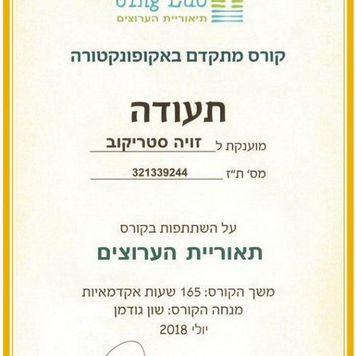 Diploma_03